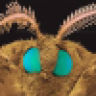 Moth-head